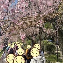 【独身限定】🌸関西のハイキング恋活・友達作り「Nature Walk」🌸 - 宝塚市