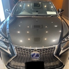 ガラスコーティング　塗装研磨