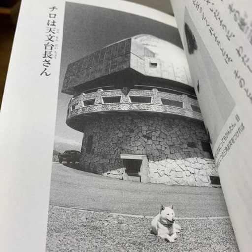 中古本 もものかんづめ 星になったチロ Yokochi 空港通りの生活雑貨の中古あげます 譲ります ジモティーで不用品の処分