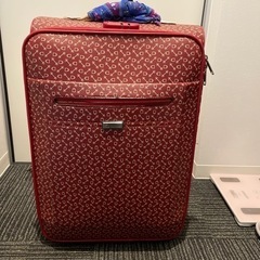 スーツケース　高さ55cmx長さ40cmx幅25cm