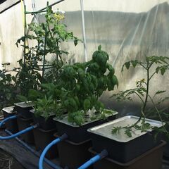 循環式 DIY水耕栽培装置 4連＆液肥タンク