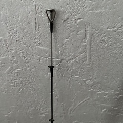 DAIWA エギングロッド