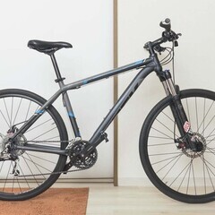 トレック　MTB 　MAMBA  ２９インチ　ロードタイヤに交換...