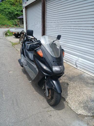 マジェスティー初期　250