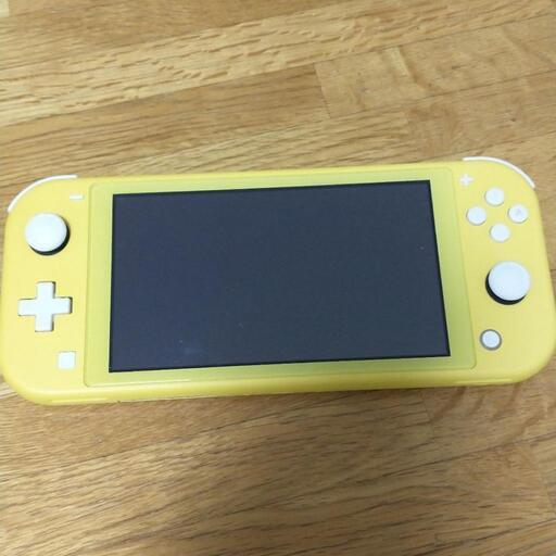 その他 Nintendo switch  lite