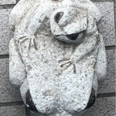 ⬛️ 稀少！⬛️ 珍品！⬛ 縁起物！⬛️️ 可愛い！⬛️ 石 親子