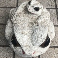 ⬛️ 稀少！⬛️ 珍品！⬛ 縁起物！⬛️️ 可愛い！⬛️ 石 親子 