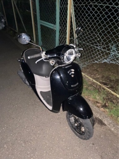 HONDA ジョルノ 実働 原付 引き取り限定 廃車済 piegari.cl