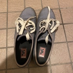 美品✨Bianchi vianirone7 