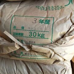 令和3年産コシヒカリ　玄米　処分価格セール!