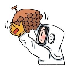 蜂の巣を駆除致します！富山県