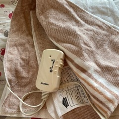 IRIS OHYAMA 電気しき毛布