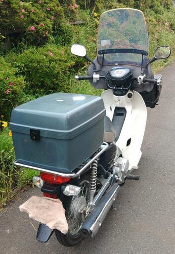 カブ50プロ AA04 オイル・バッテリー交換済 (1659)
