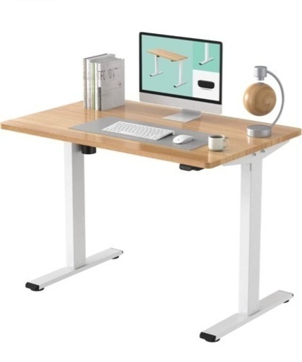 購入最安Flexispot 電動式スタンディングデスク　120×60 センターテーブル・ローテーブル
