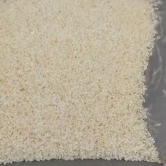 処分価格！！　島根県産　令和3年コシヒカリ玄米　