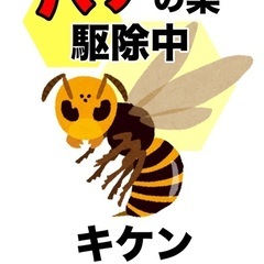 茨城県で蜂の巣駆除