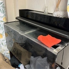 4面黒アクリル水槽　90cm×45cm×45cm（明日にはお譲りする方決めます。）