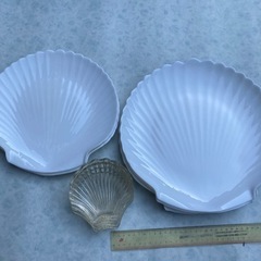 貝殻皿13枚セット