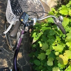 パナソニック製電動自転車-ボッシュトレンチコートクリーニング済み19999→16666→16111