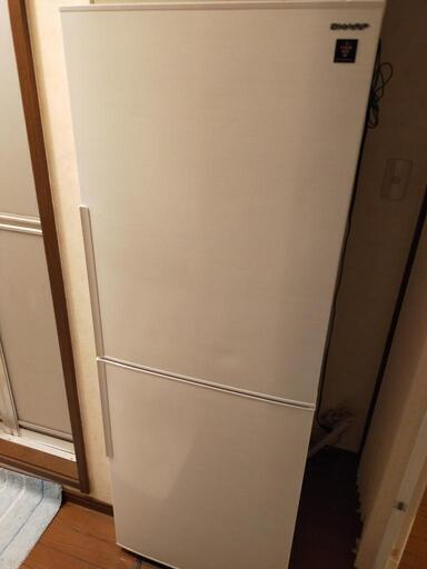 シャープ 冷蔵庫 280L(幅56cm) プラズマクラスター搭載 2ドア ホワイト SJ-PD28F-W