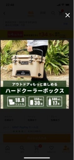 新品未使用　ハードクーラーボックス クーラーBOX 18.9L  BBQ バーベキュー
