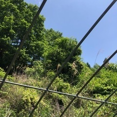 ハウスパイプ（中古）バラ売りできます^ ^