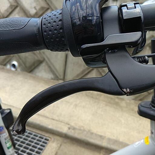 お話し中❱BRIDGESTONEブリジストン 子供乗せ電動アシスト自転車 