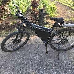 Cannondale trail 6 MTB [電動アシスト自転車]