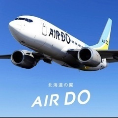 【ネット決済・配送可】AIR DO エアドゥ 航空券 8月31日...