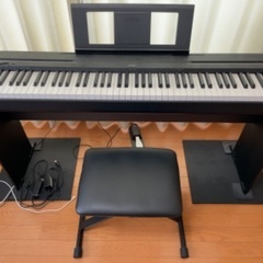 YAMAHA P-45