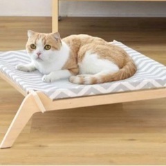 猫用 ハンモック 自立式 キャットラウンジ ベッド 洗える 木製