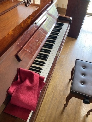 GREEN LIFE SCS-60 ステンレスクッキングストーブ グリーンライフ BBQ