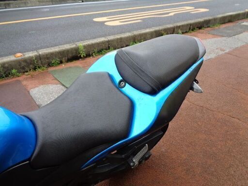 NO.4298　Ｎｉｎｊａ２５０Ｒ（ニンジャ２５０Ｒ） 水冷４サイクル２気筒　ＦＩ車　メタリックブルー　☆彡 NO.4298 Ninja250R（ニンジャ250R） 水冷4サイクル2