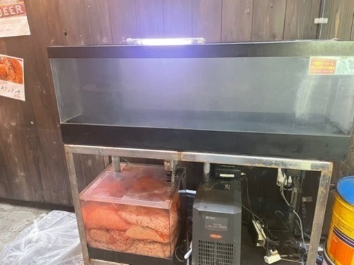 業務用ディスプレイ水槽