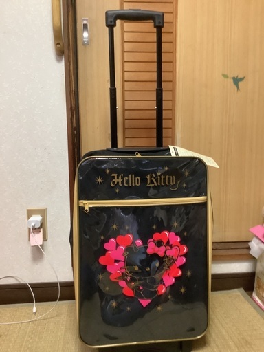新品、キティーちゃんのキャリーバックです。
