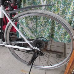 アイソラ ISOLA 財布 ギャルソン イントレチャート クロコ レザー 本革 -ID:G60030206　クロスバイク