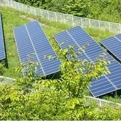 太陽光発電内　草刈りです。