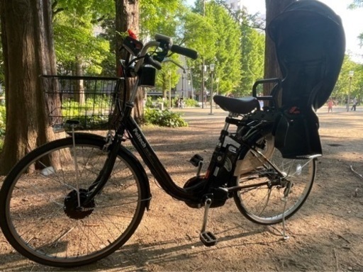 PELTECH TDF-14Z 電動自転車