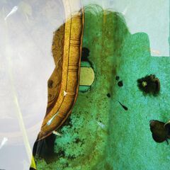 中古濾過摂食が無料 格安で買える ジモティー