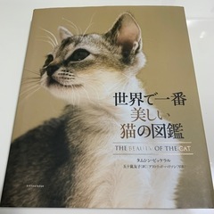 世界で壱番美しい猫の図鑑