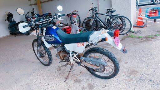 SUZUKI ジェベル125　秋だ！海だ！山だ！天気のいい日は自然を体感しよう。