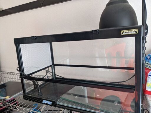 ケースバイケース60 爬虫類飼育セット