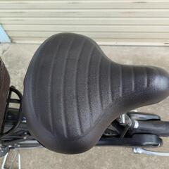第11段！！ 電動自転車 20インチ ペットと一緒にお散歩♡ 値下げしま