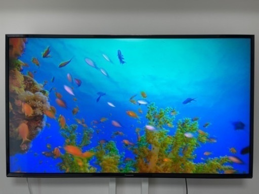 パナソニック　49型　デジタルハイビジョン液晶テレビ　TH-49EX750