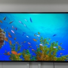 パナソニック 49型 デジタルハイビジョン液晶テレビ TH-49EX750