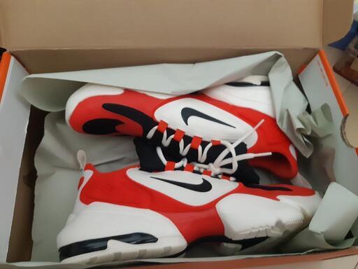 ナイキ　30cm air max alpha savage