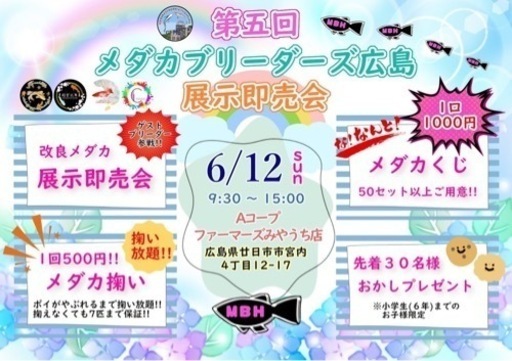 第５回メダカブリーダーズ広島めだか即売会 めだかクジ めだか掬い ともちん プロフ必読 宮内串戸の地域 お祭りのイベント参加者募集 無料掲載の掲示板 ジモティー