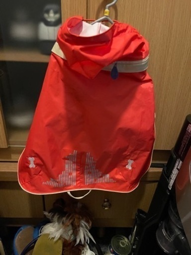 トイプードルに着させていました。