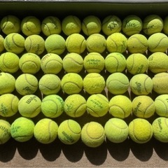 練習用　中古テニスボール　60個