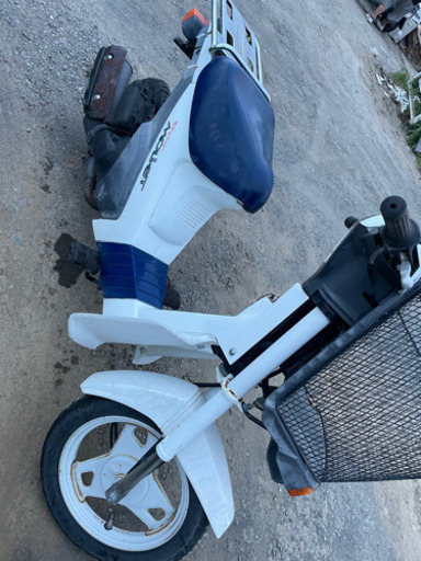 一旦出品ストップしてます  SUZUKI  モレ